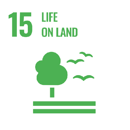 Kwithu Furniture | SDG 975